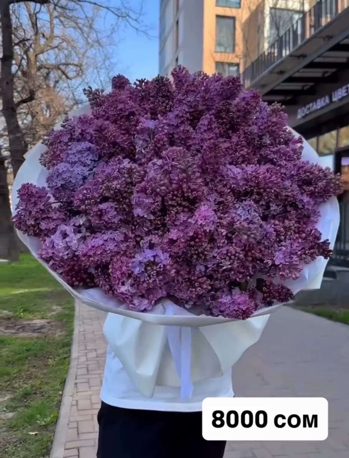 Большой букет сирени - изображение 1