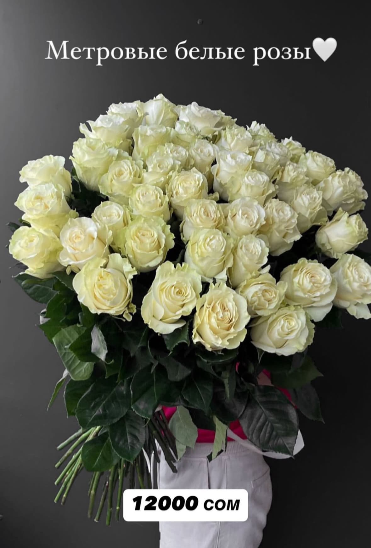 Метровые розы Mondial🤍 - изображение 1